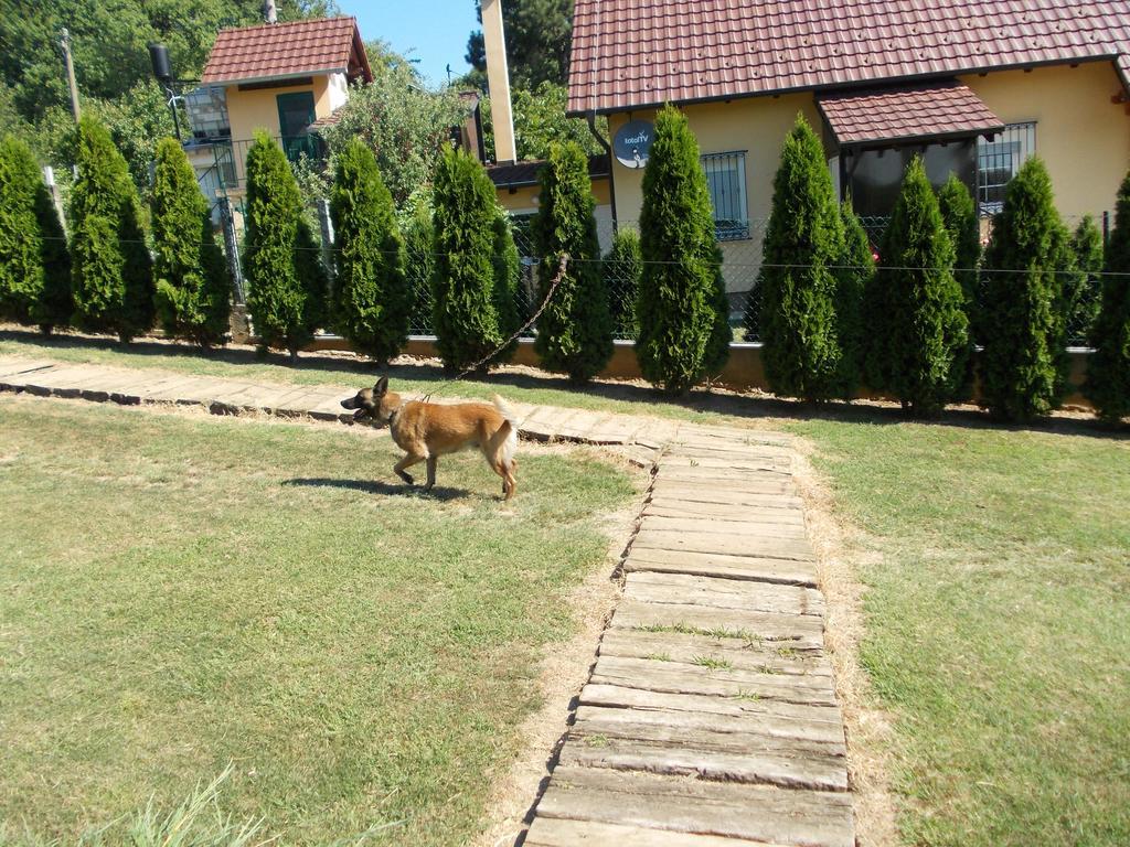 Bed and Breakfast Kuca Za Odmor "Karalic" Ležimir Exterior foto